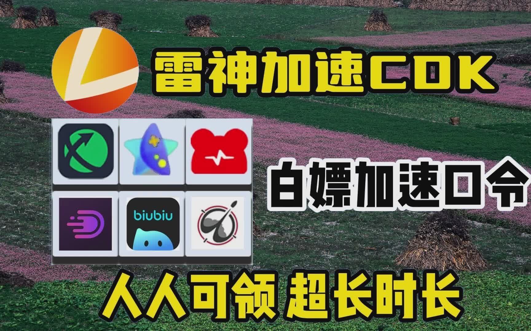 加速器biubiu（biubiu加速器正版下载官网）